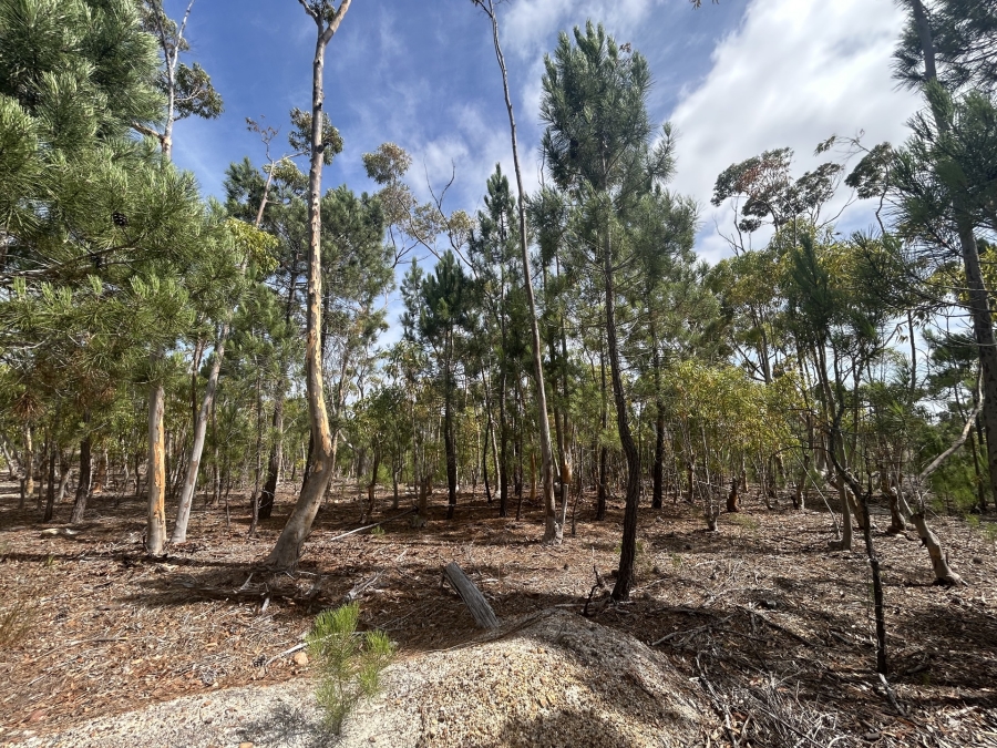 0 Bedroom Property for Sale in Napier Western Cape